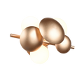 BUBBLE | Wall lamp | Gold | Metal