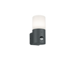 HOOSIC | Wall lamp | Anthracite | Diecast aluminium