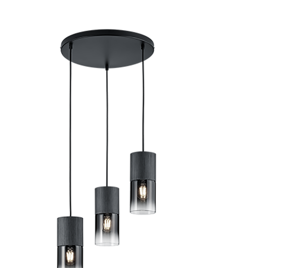 ROBIN | Pendant | Black mat | Metal
