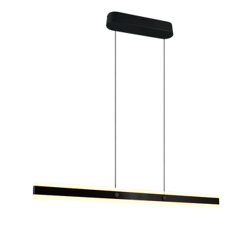 ARCOLA | Pendant | Black mat | Metal
