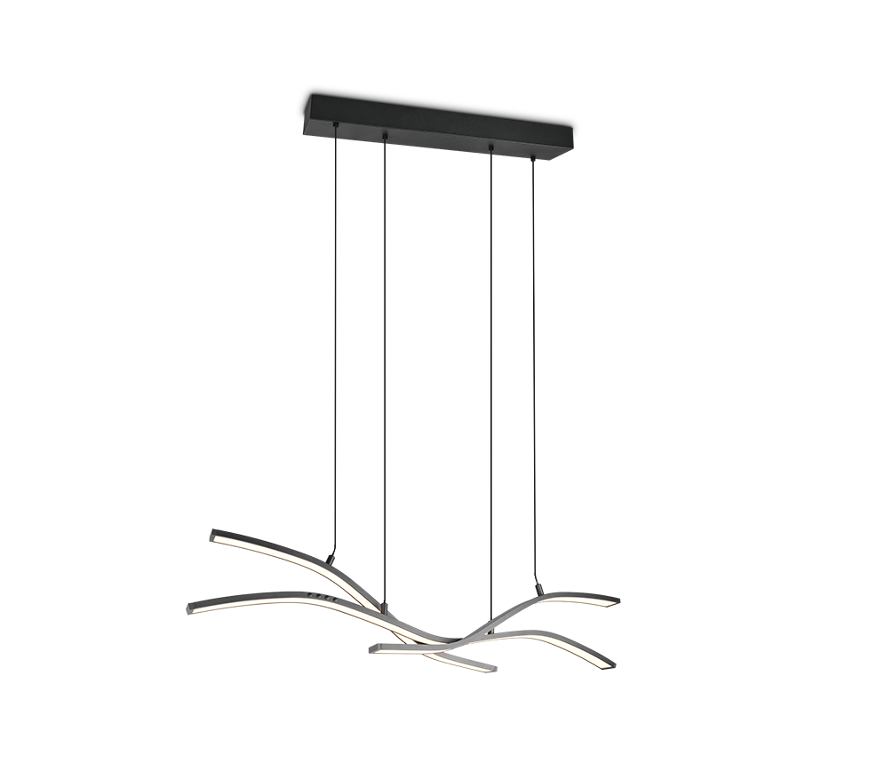 SPIDER | Pendant | Black mat | Metal