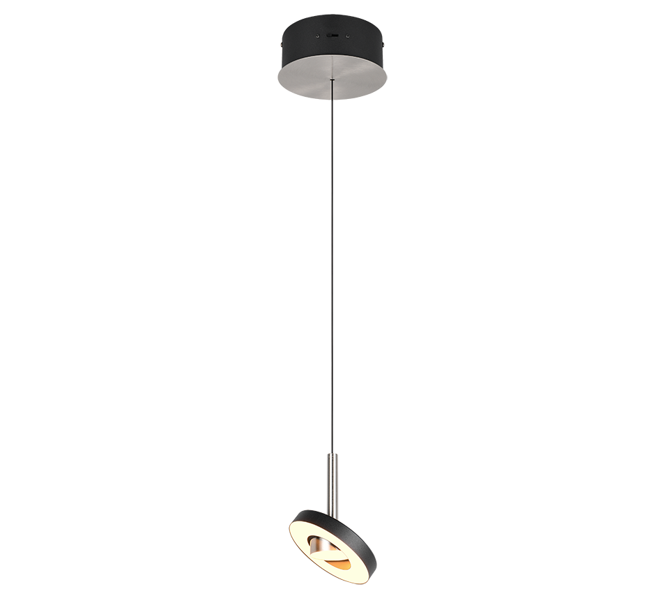 GUANO | Pendant | Nickel mat | Metal