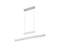 TRAJAN | Pendant | Nickel mat | Metal