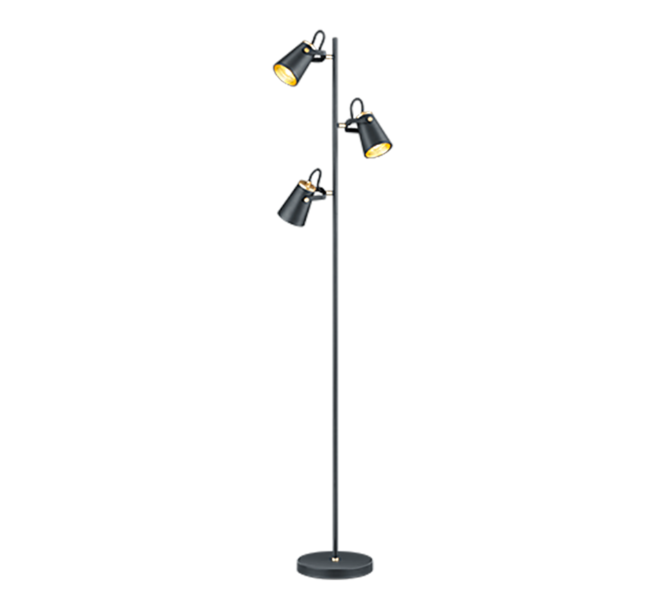EDWARD | Floor lamp | Black mat | Metal