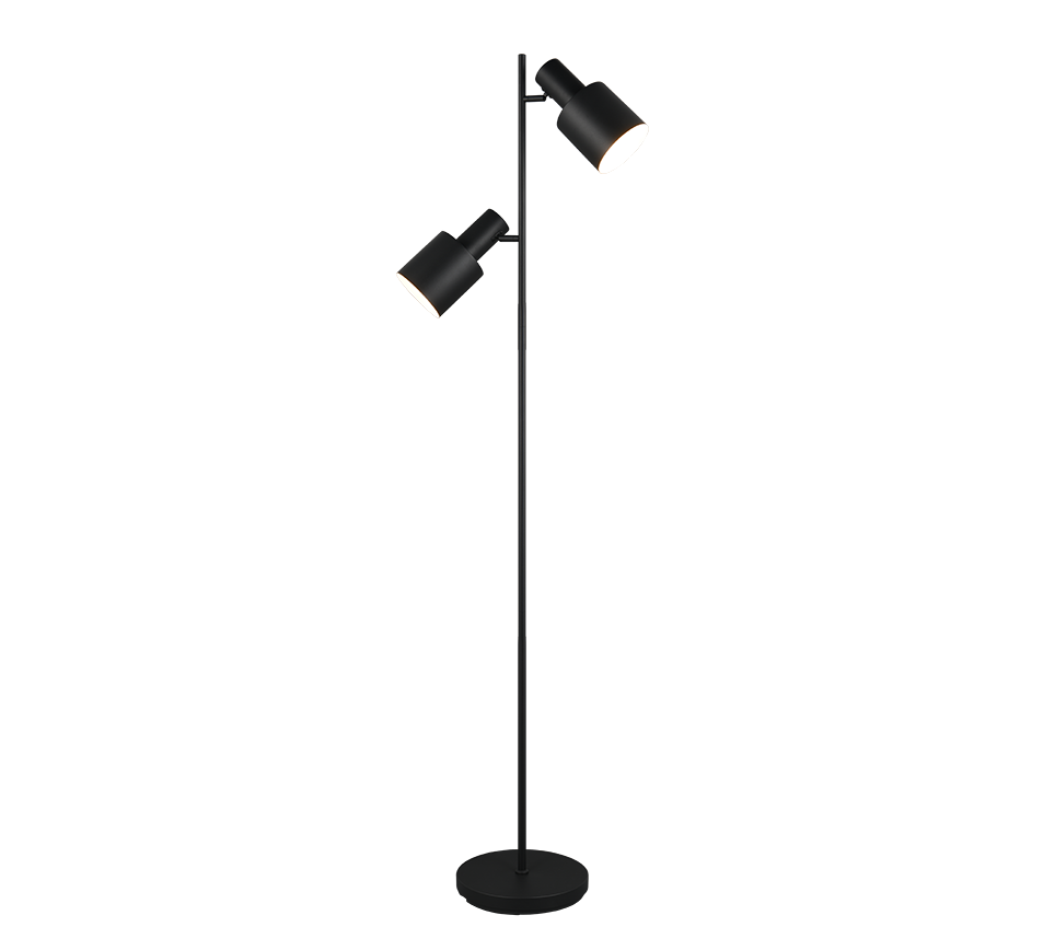 AGUDO | Floor lamp | Black mat | Metal
