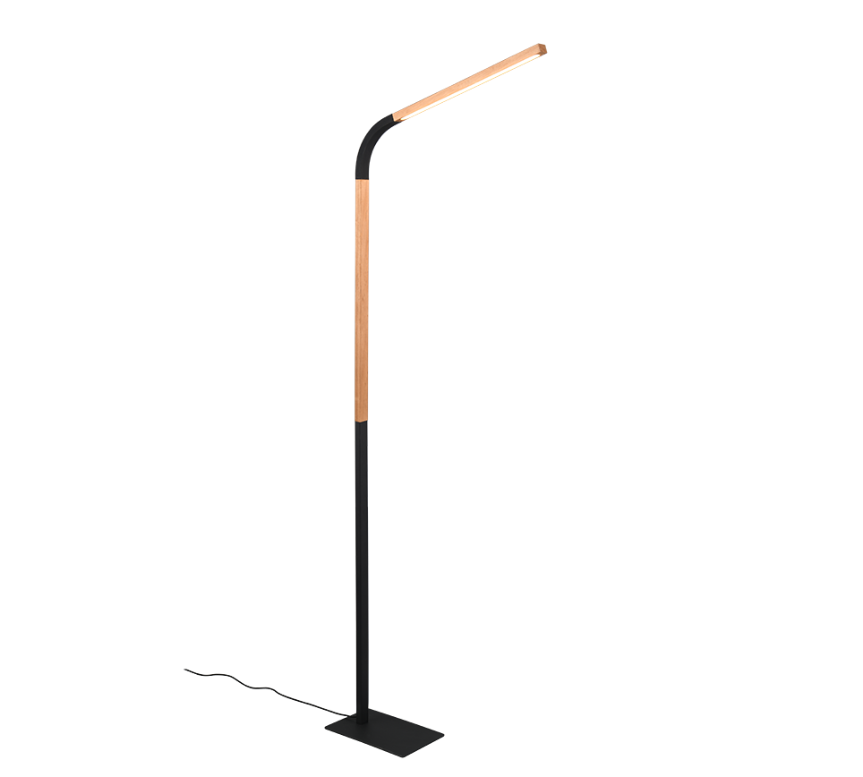 NORRIS | Floor lamp | Black mat | Metal