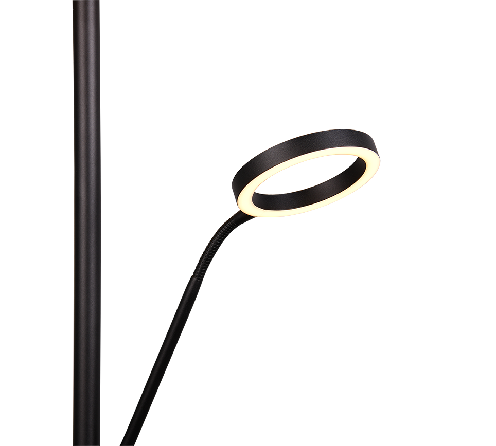 WILLIS | Floor lamp | Black mat | Metal