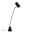 CIALTO | Floor lamp | Black mat | Metal