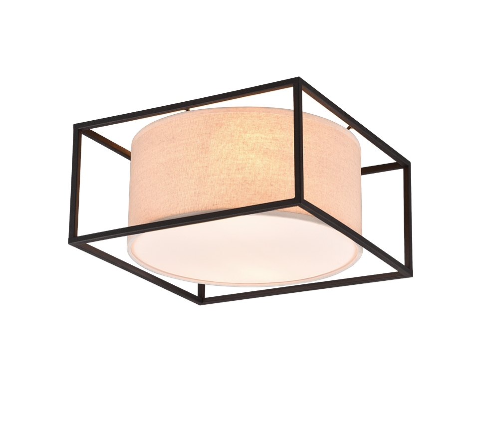 TRIO - ROSS - Ceiling Lamp - 603100244