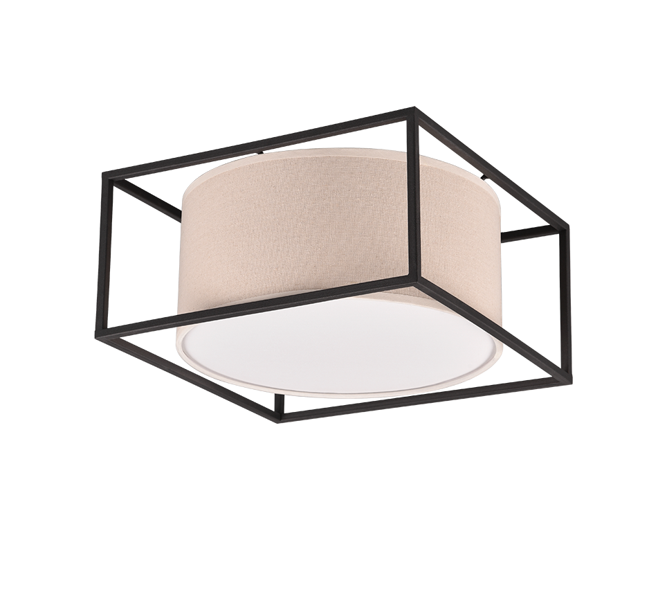 TRIO - ROSS - Ceiling Lamp - 603100244