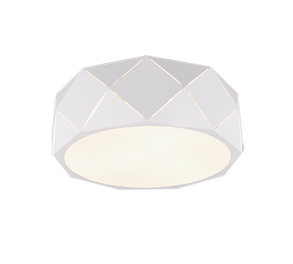 ZANDOR | Ceiling lamp | White mat | Metal