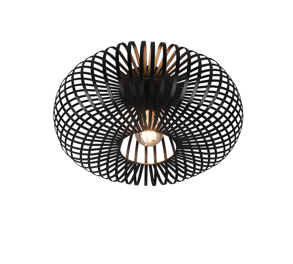 JOHANN | Ceiling lamp | Black mat | Metal