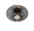 JOHANN | Ceiling lamp | Black mat | Metal