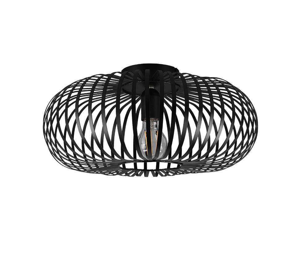 JOHANN | Ceiling lamp | Black mat | Metal