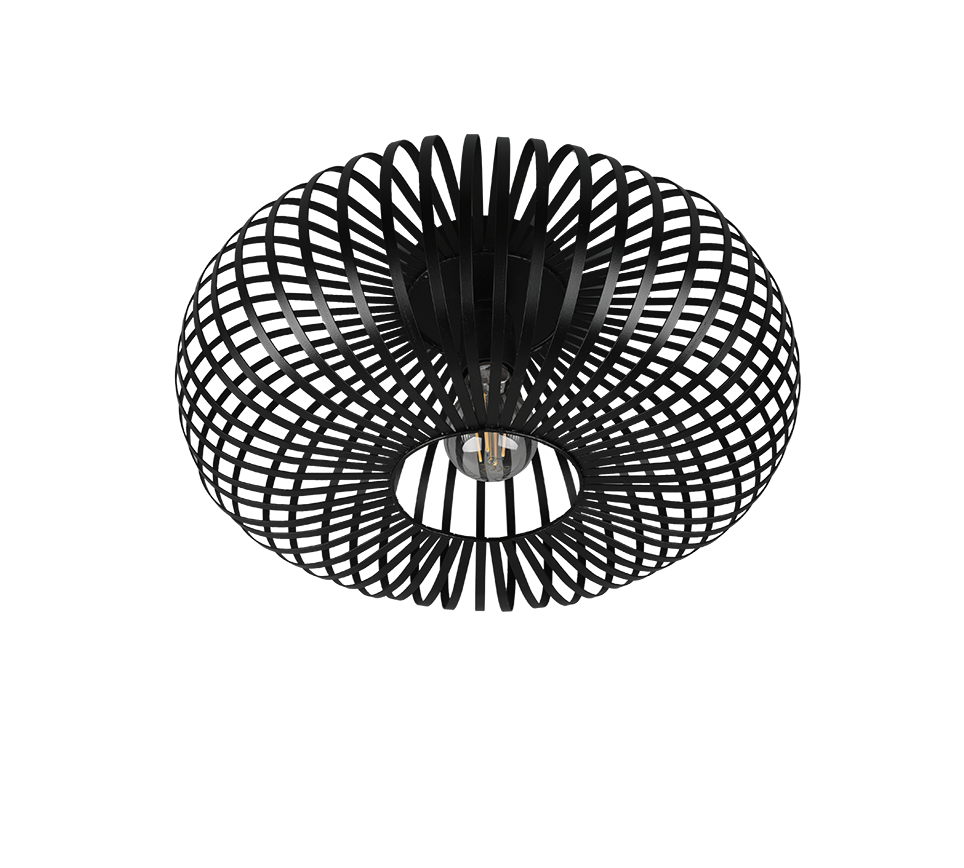 JOHANN | Ceiling lamp | Black mat | Metal