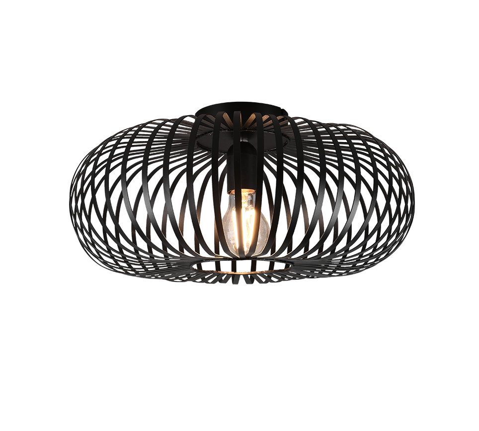 JOHANN | Ceiling lamp | Black mat | Metal