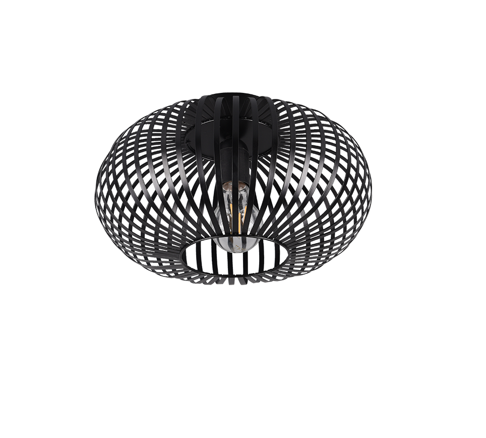 JOHANN | Ceiling lamp | Black mat | Metal
