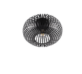 JOHANN | Ceiling lamp | Black mat | Metal