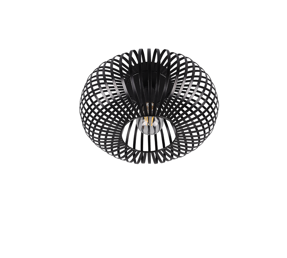 JOHANN | Ceiling lamp | Black mat | Metal