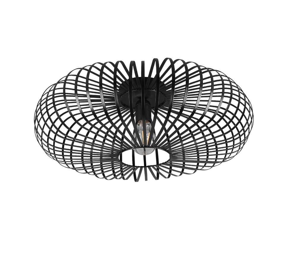 JOHANN | Ceiling lamp | Black mat | Metal