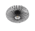JOHANN | Ceiling lamp | Black mat | Metal