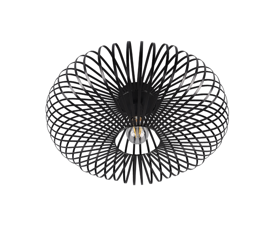 JOHANN | Ceiling lamp | Black mat | Metal
