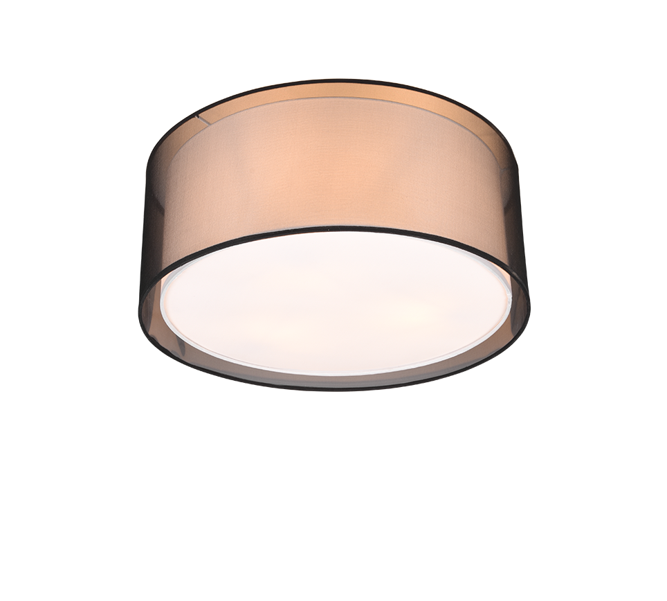 TRIO - BURTON - Ceiling Lamp - 611400332