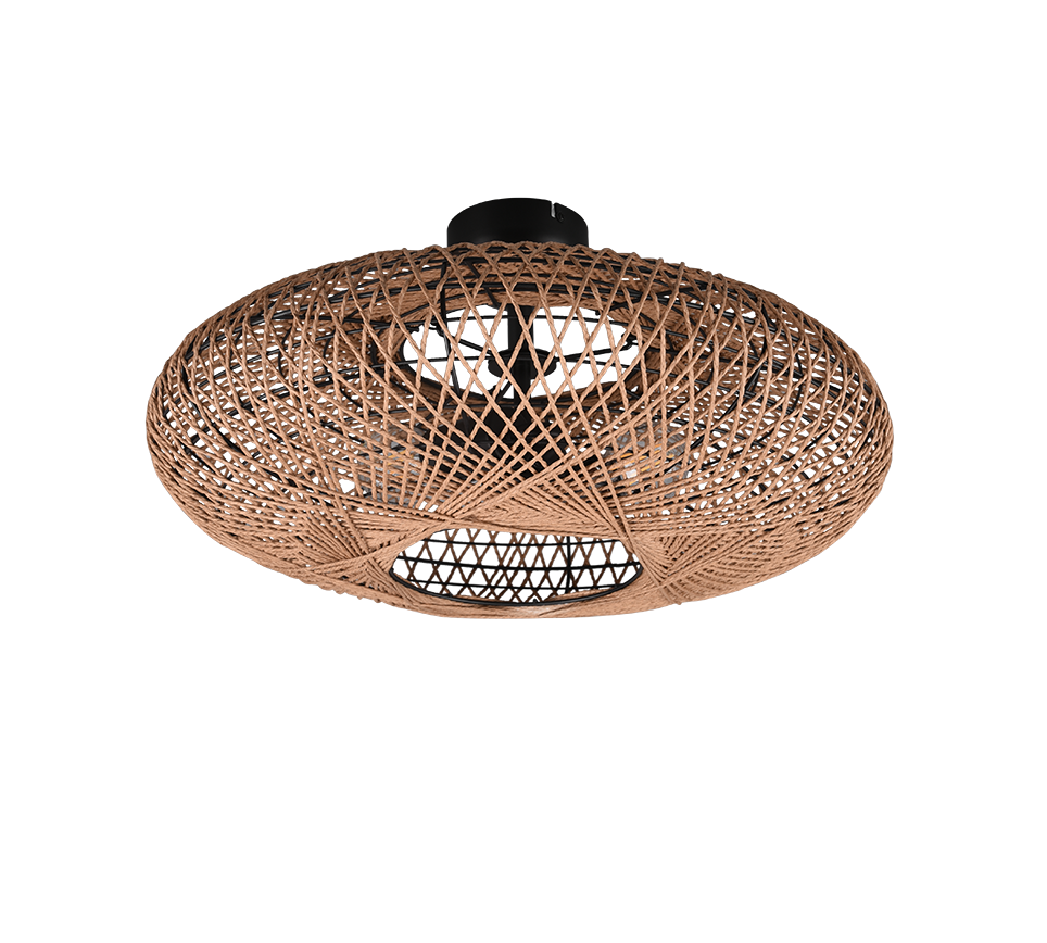 HEDDA | Ceiling lamp | Black mat | Metal