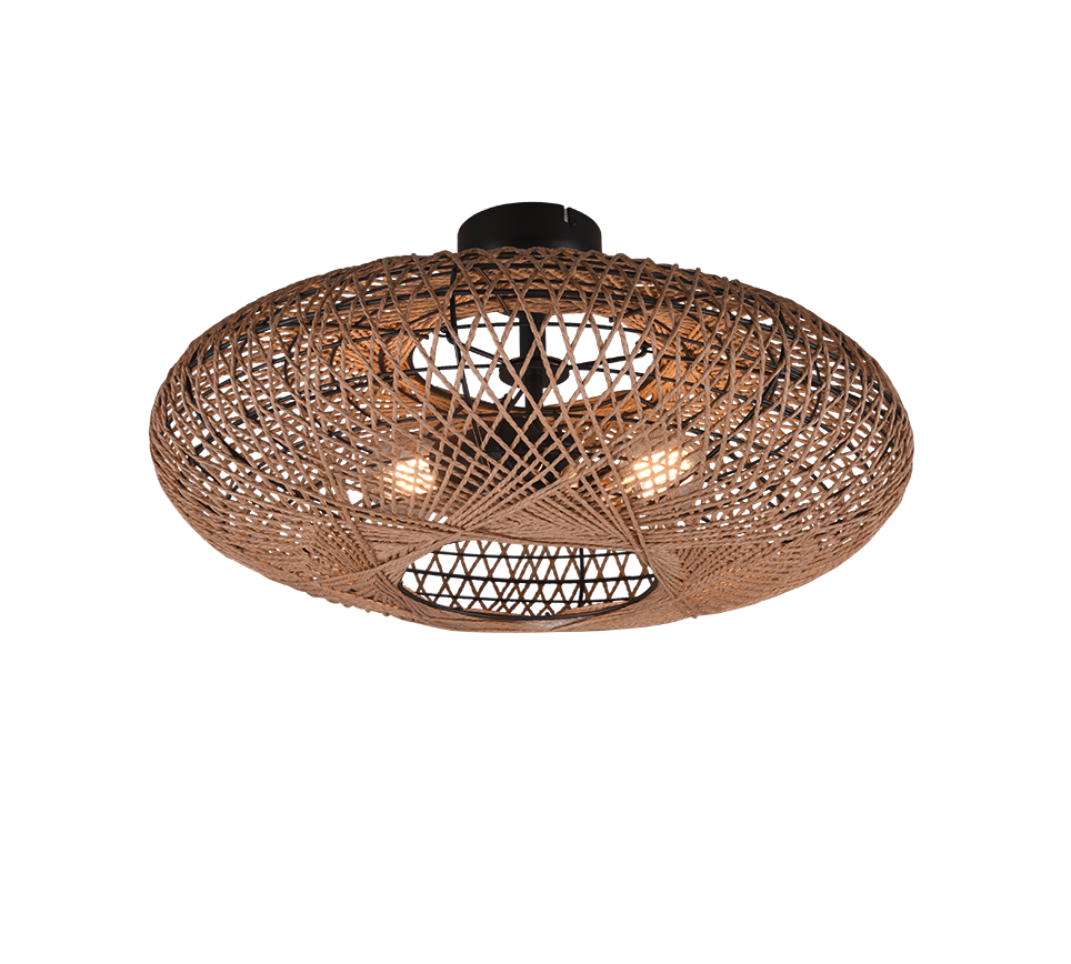 HEDDA | Ceiling lamp | Black mat | Metal