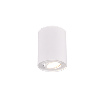 COOKIE | Ceiling lamp | White mat | Metal