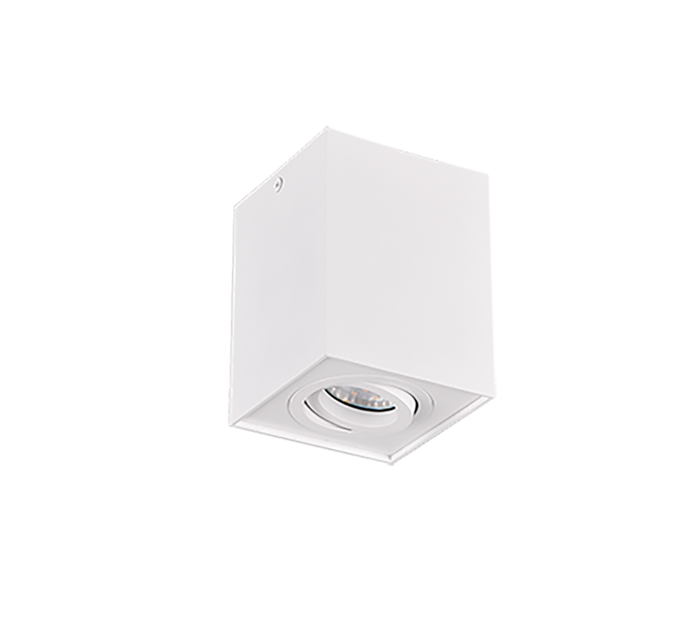 BISCUIT | Ceiling lamp | White mat | Metal