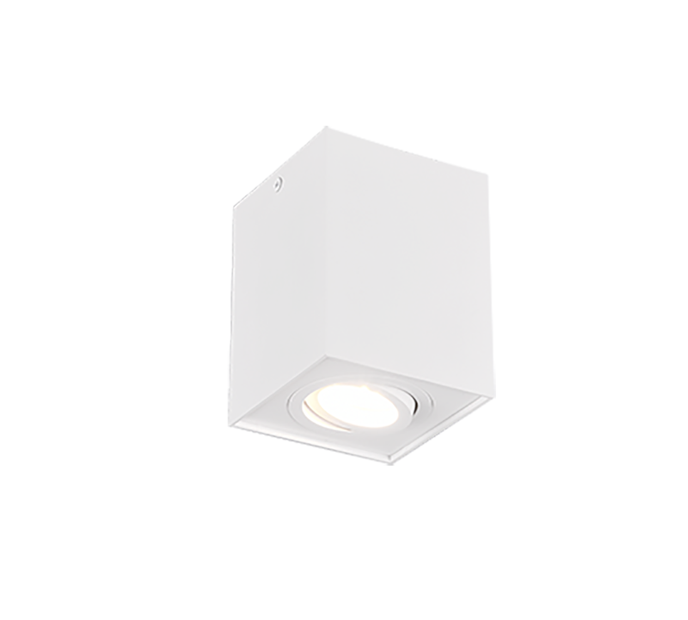 BISCUIT | Ceiling lamp | White mat | Metal