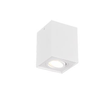 BISCUIT | Ceiling lamp | White mat | Metal