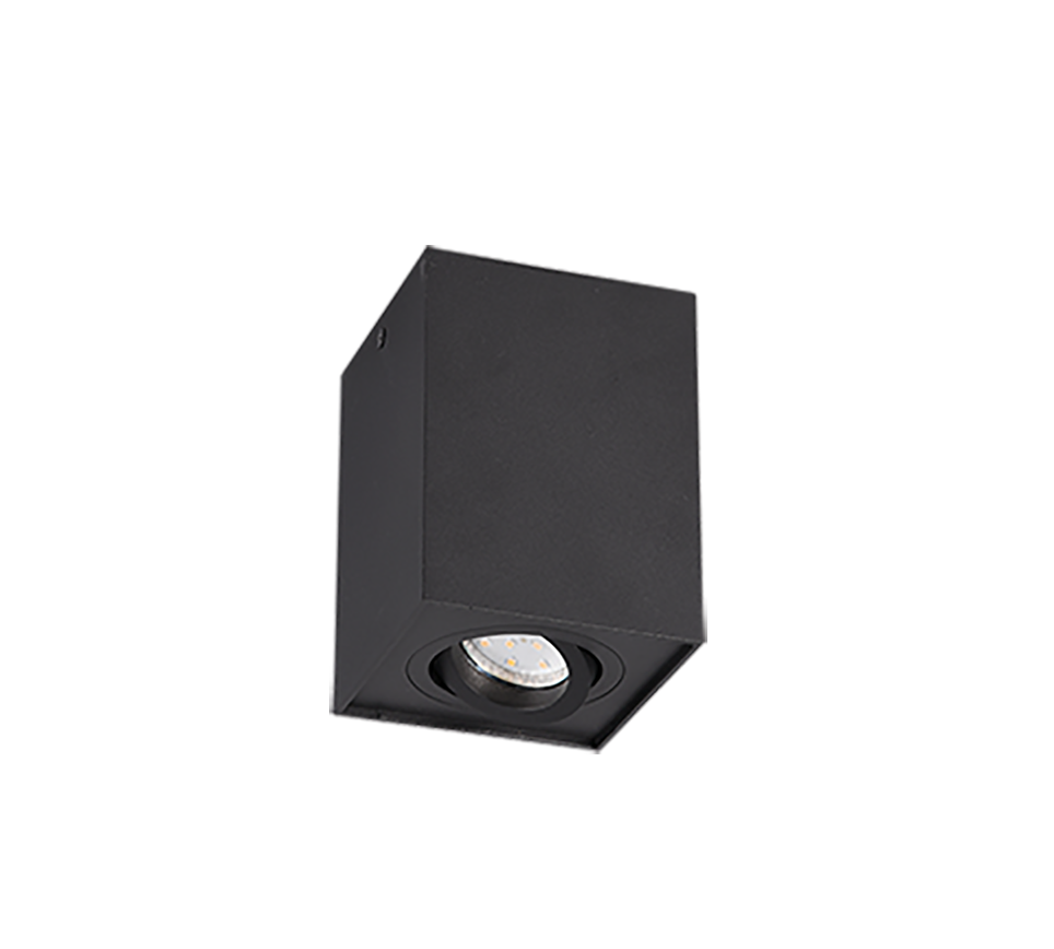 BISCUIT | Ceiling lamp | Black mat | Metal