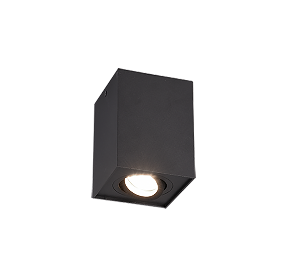 BISCUIT | Ceiling lamp | Black mat | Metal