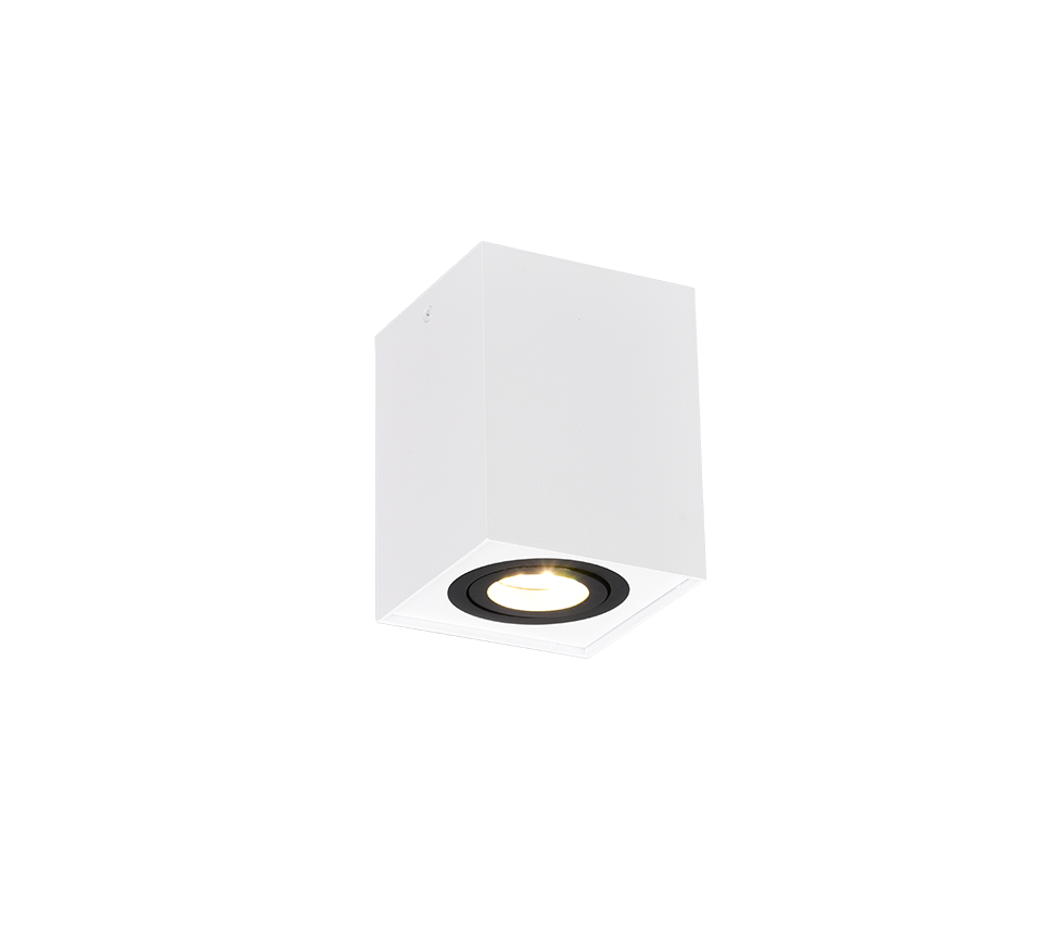BISCUIT | Ceiling lamp | Schwarz-weiß | Metal