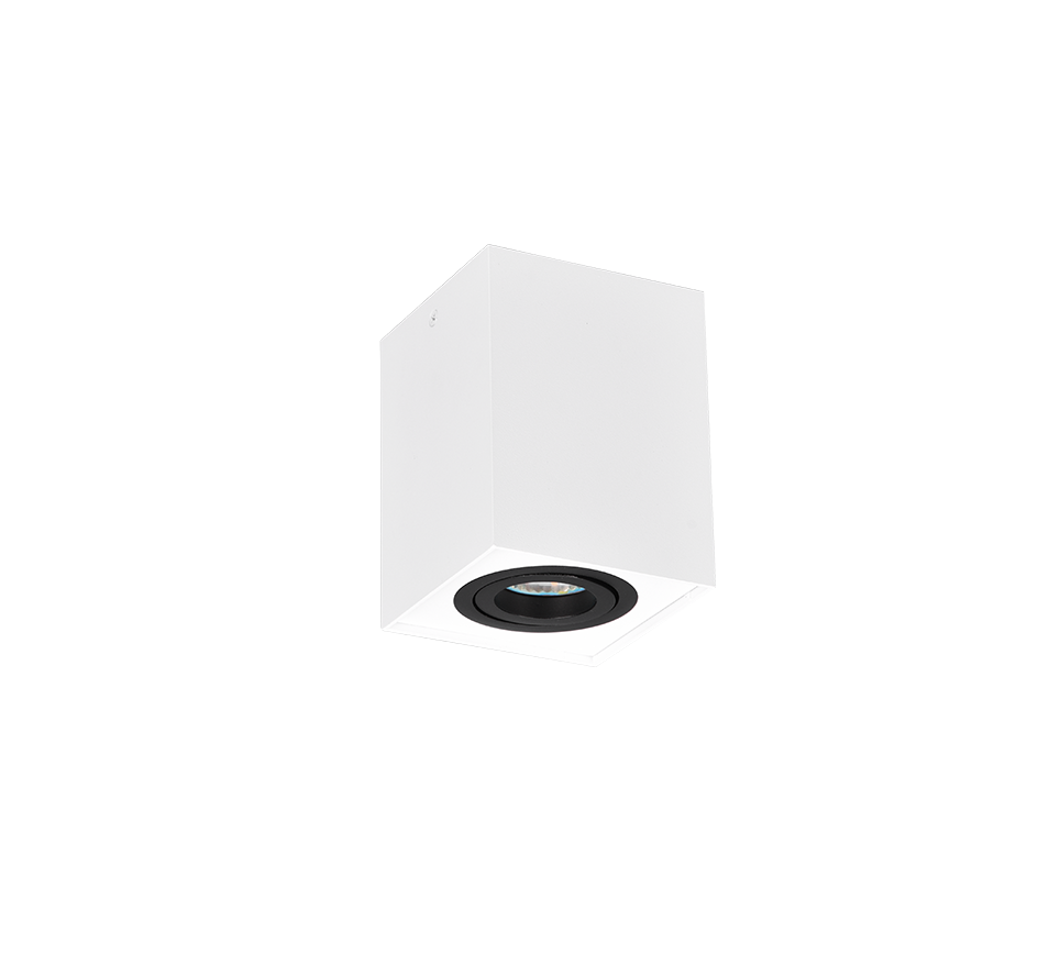 BISCUIT | Ceiling lamp | Schwarz-weiß | Metal