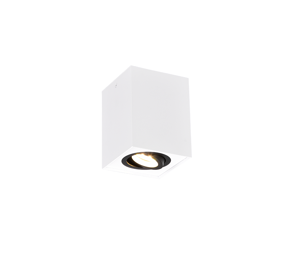 BISCUIT | Ceiling lamp | Schwarz-weiß | Metal