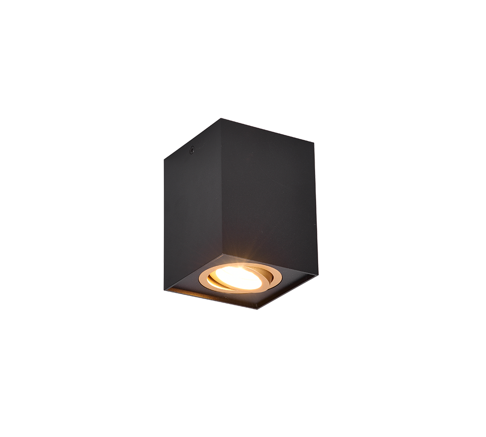 BISCUIT | Ceiling lamp | Schwarz-Gold | Metal