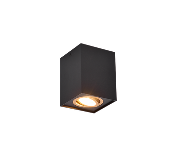 BISCUIT | Ceiling lamp | Schwarz-Gold | Metal