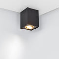 BISCUIT | Ceiling lamp | Schwarz-Gold | Metal
