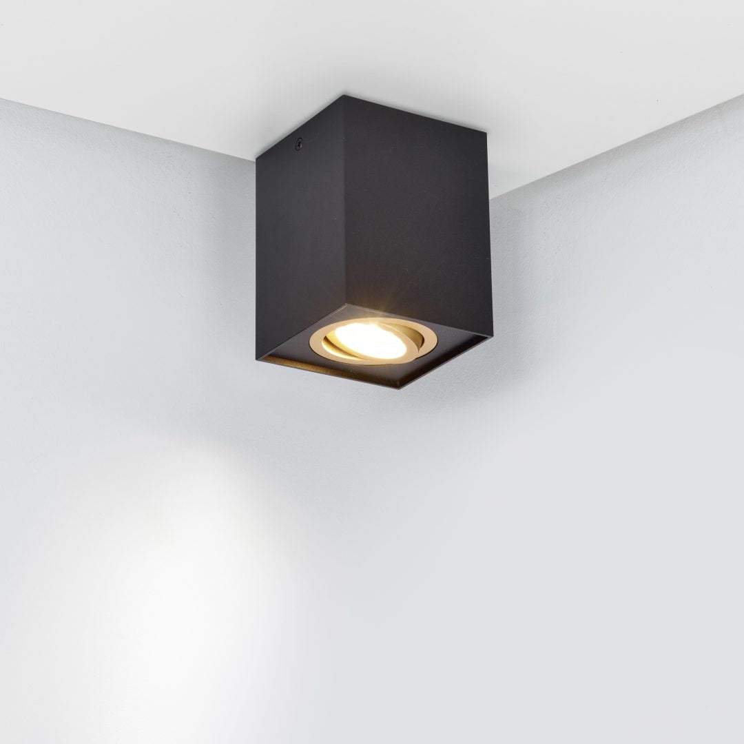 BISCUIT | Ceiling lamp | Schwarz-Gold | Metal
