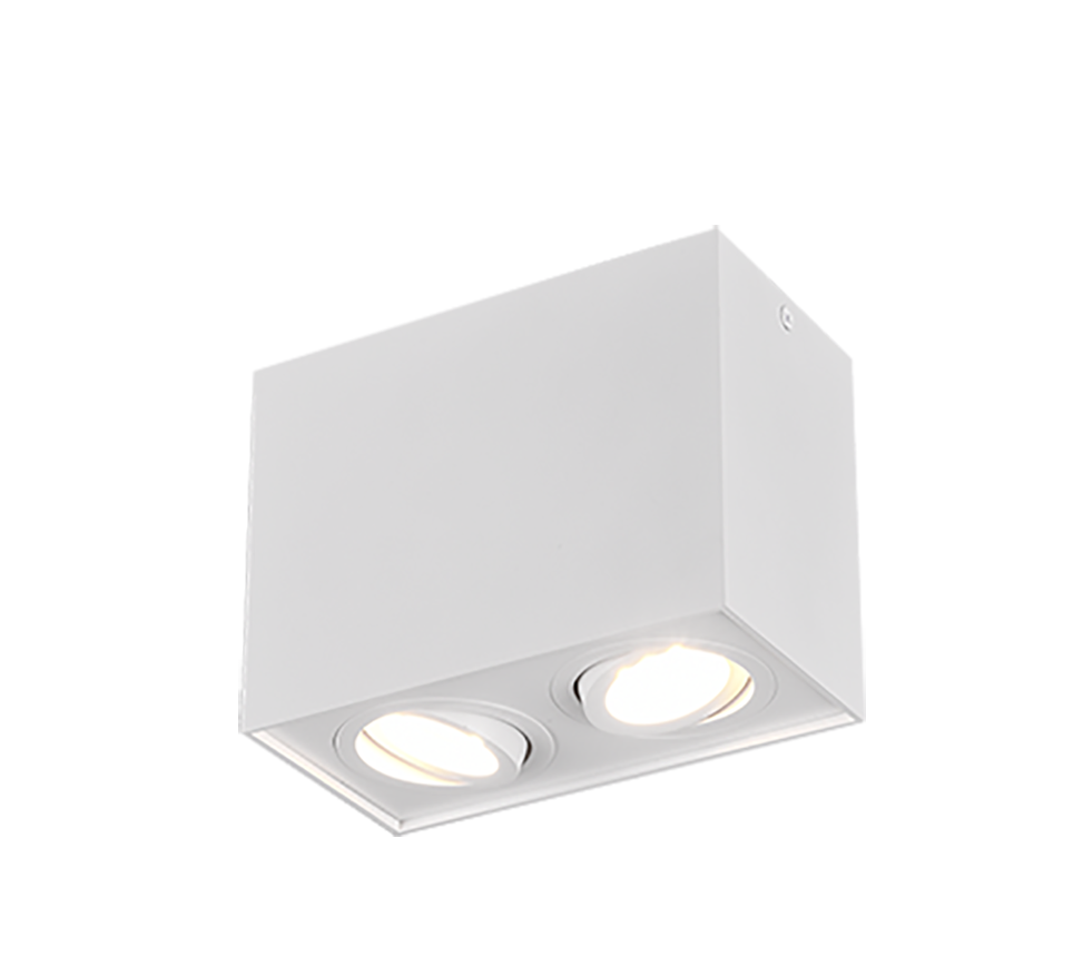 BISCUIT | Ceiling lamp | White mat | Metal