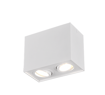BISCUIT | Ceiling lamp | White mat | Metal