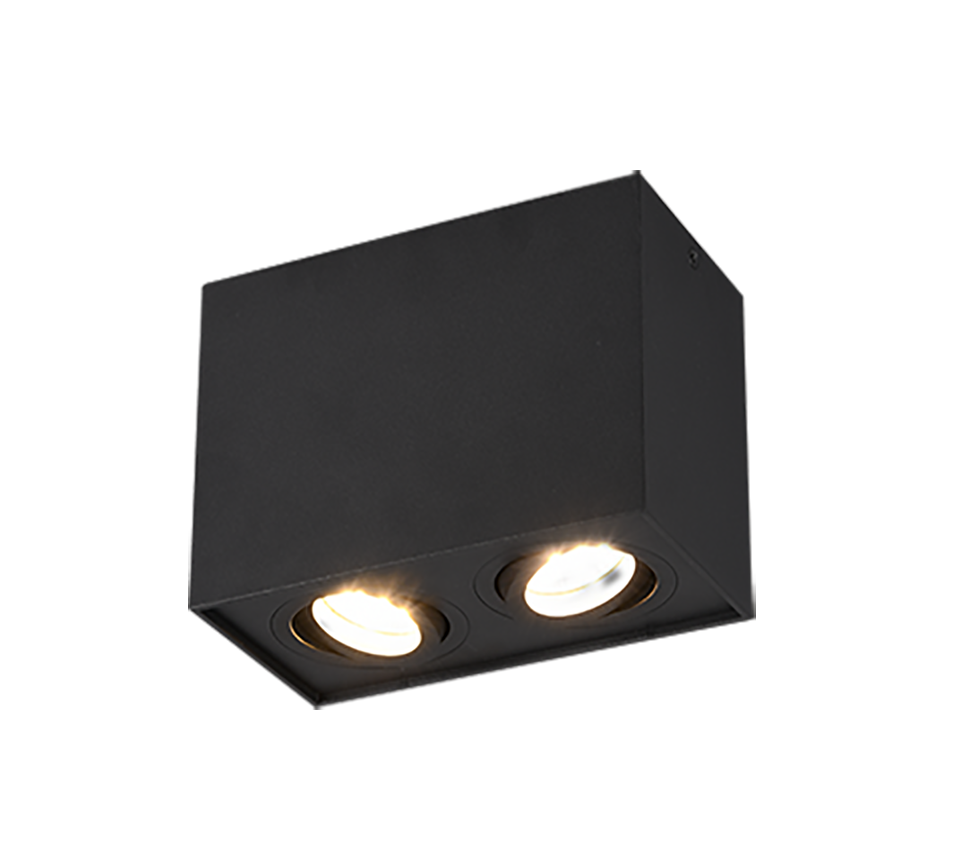 BISCUIT | Ceiling lamp | Black mat | Metal