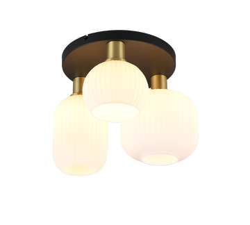DIVA | Ceiling lamp | Brass mat | Metal