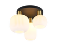 DIVA | Ceiling lamp | Brass mat | Metal