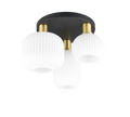 DIVA | Ceiling lamp | Brass mat | Metal