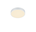 WACO | Ceiling lamp | White mat | Metal