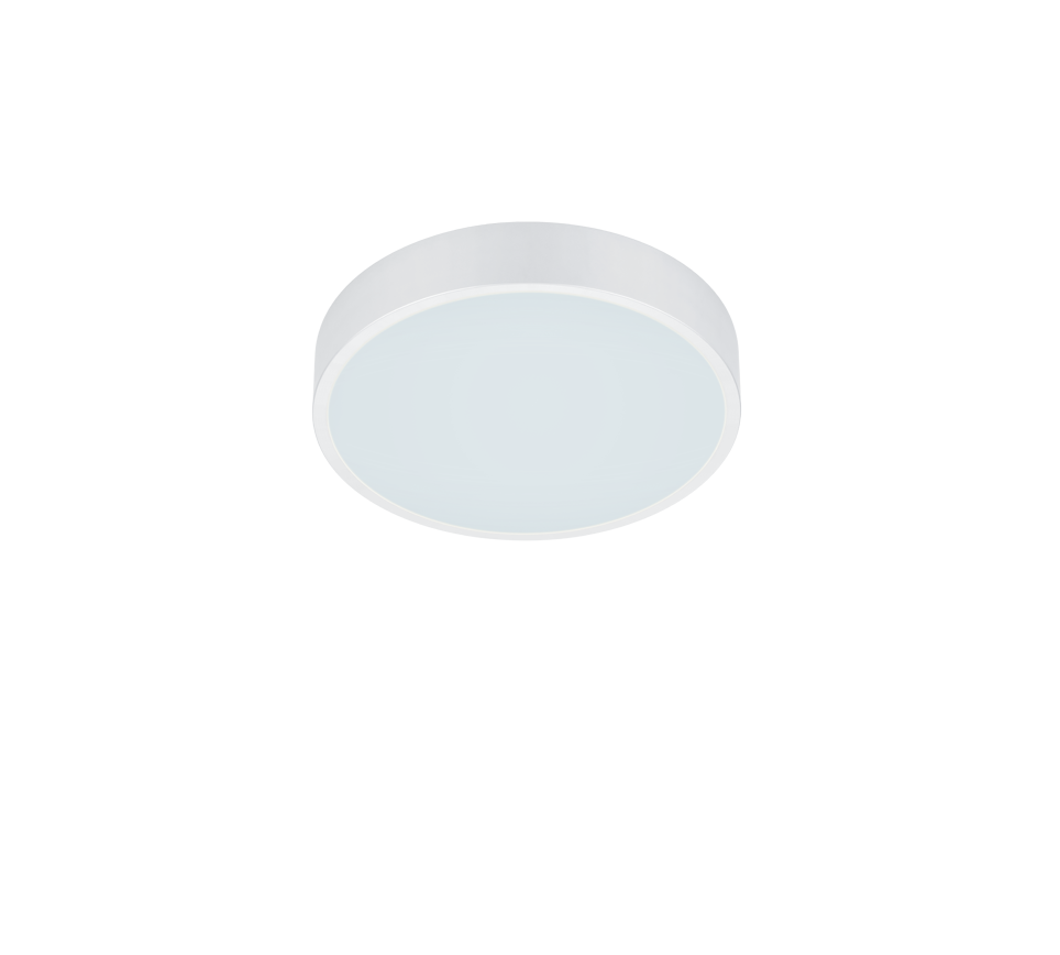 WACO | Ceiling lamp | White mat | Metal